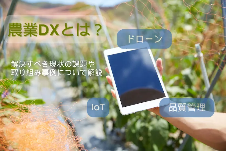 農業DXとは？解決すべき現状の課題や取り組み事例について解説 