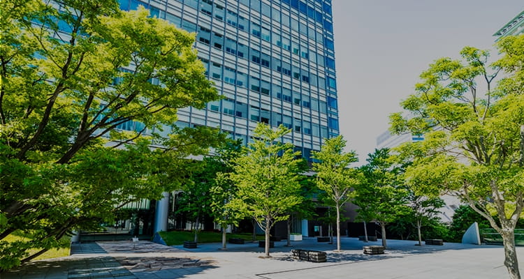 企業概要
